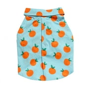 Oodles Sweet Citrus Boxy Button Up Dog Shirt, Blue, Large