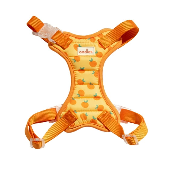 Oodles Sweet Citrus Dog Walking Harness, Small