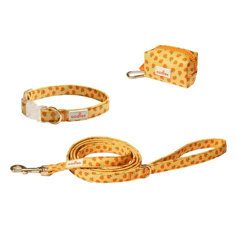 Oodles Sweet Citrus Dog Walking 3 Piece Set, Medium