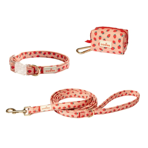 Oodles Sweet Strawberry Dog Walking 3 Piece Set, Small