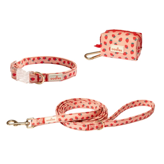 Oodles Sweet Strawberry Dog Walking 3 Piece Set, Large