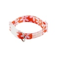 thumbnail image 1 of Oodles Polyester Wild Blooms Adjustable Floral Fashion Dog Collar, Red, Small, 1 of 9