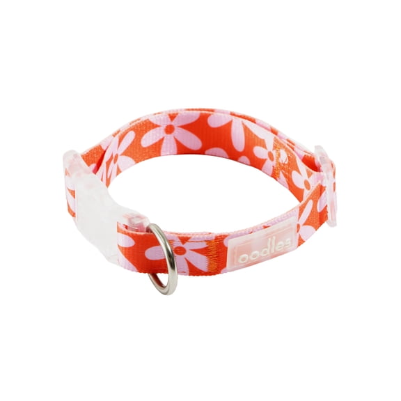 Oodles Polyester Wild Blooms Adjustable Floral Fashion Dog Collar, Red, Small