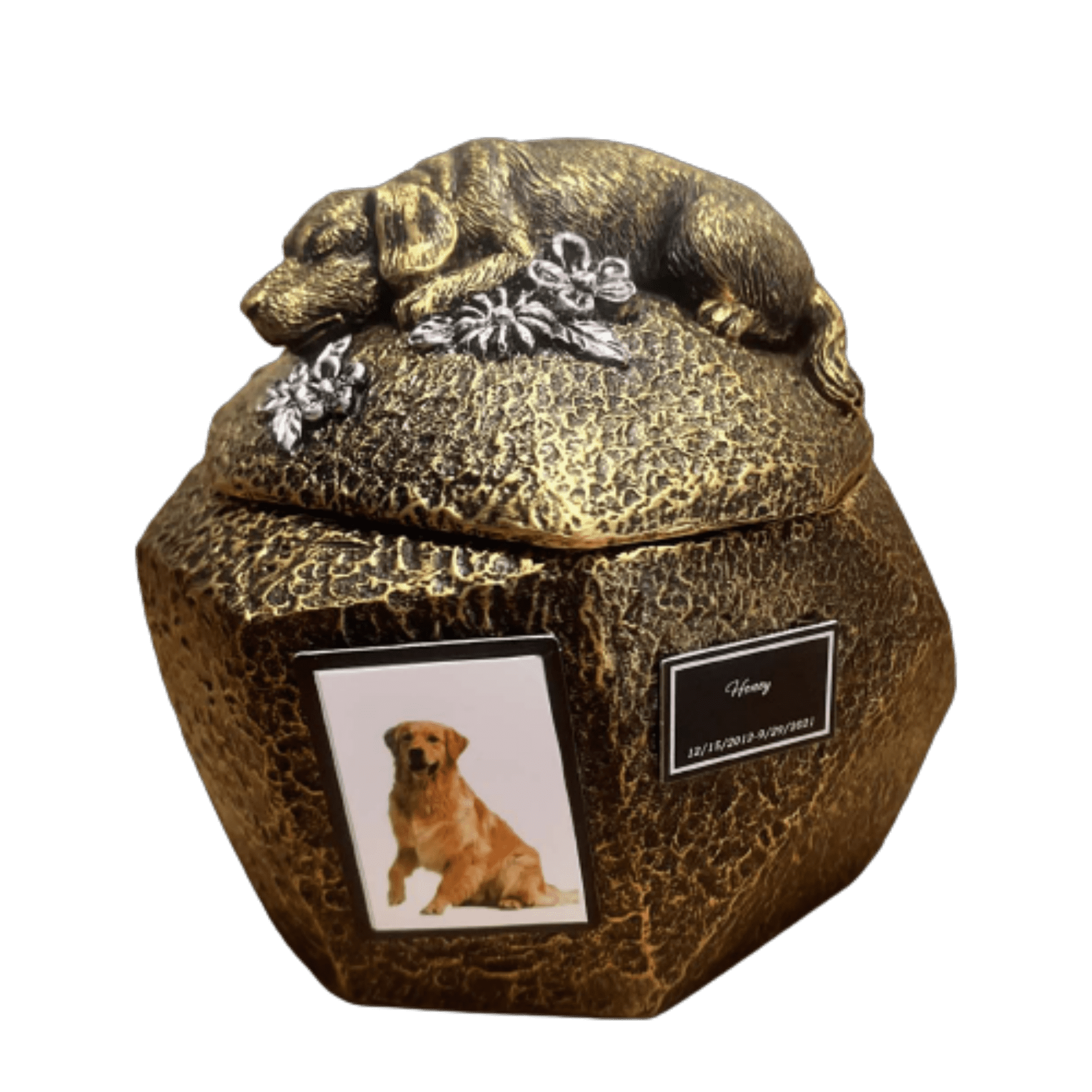 Ooooknpc Pet Dog Ashes Urn Cremation Container Box Memorial Statue Photo Loss Keepsake Resin