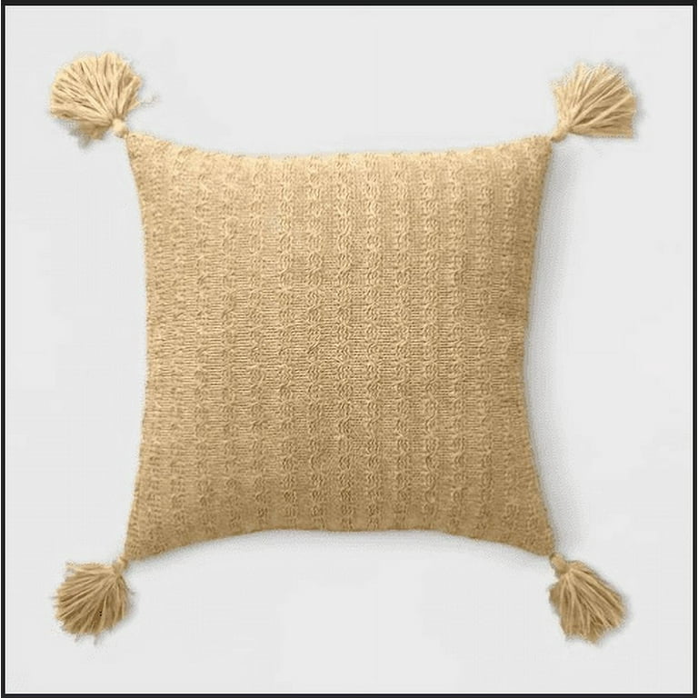 Opalhouse outdoor pillows 2025