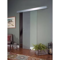 Opaque Glass Interior Barn Door