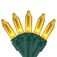 thumbnail image 1 of Northlight Opaque Mini Christmas Light Set - Gold - 24.5' Green Wire - 50ct, 1 of 3