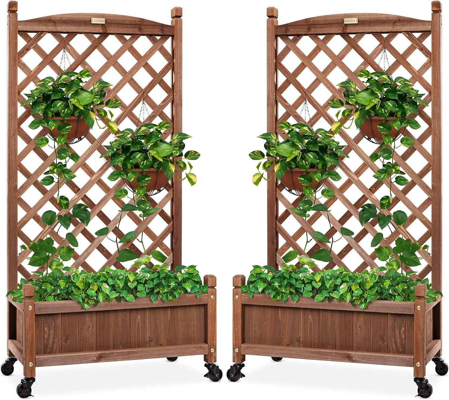 Set of 2 Walnut Fir Wood Planter Box with Trellis