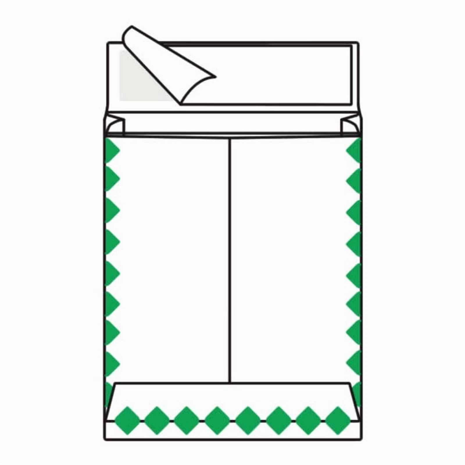 Open End First Class Expansion Tyvek Catalog Envelopes, 10" x 13", 14#, 'First Class Mail' on Face and Flap (Box of 100)