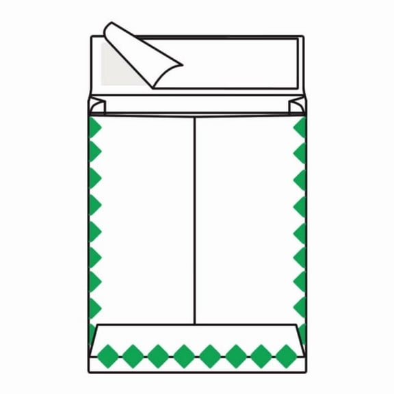 Open End First Class Expansion Tyvek Catalog Envelopes, 10" x 13", 18#, 'First Class Mail' on Face and Flap (Box of 100)