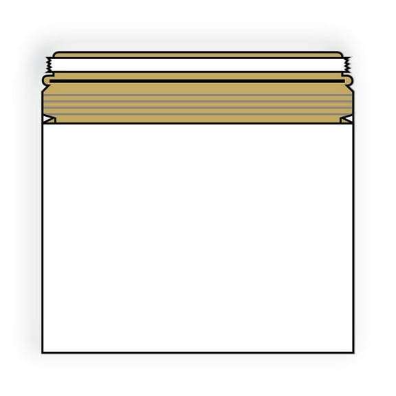 Open End No Bend Mailer Envelopes, 9-1/2"x 12-1/2", .020#, White, 100% Recycled, 1" Expansion, Tear Strip (Box of 100)