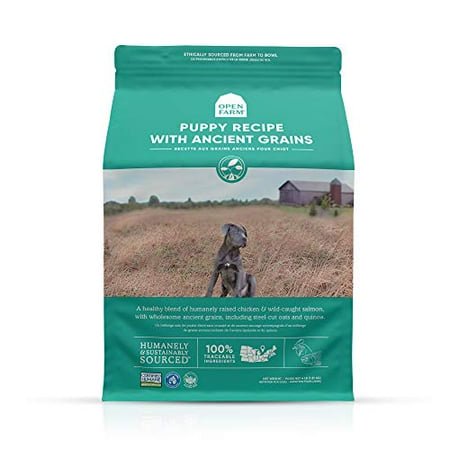 Stunning Free Grain Dog Food With No Artificial Preservatives image
