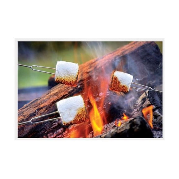 Open Flame Roasting Extendable Marshmallow Fork, Plastic & Stainless Steel, 3 Per Pack - Case of 24