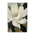 thumbnail image 1 of Stupell Industries Open Magnolia Petals Canvas Wall Art, design by Creative Studio, 24 x 16, 1 of 7