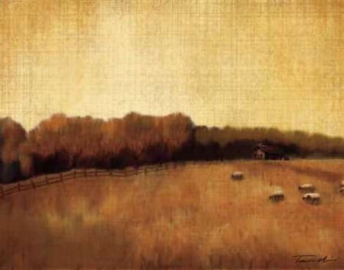 Open Range II Canvas Art - Tandi Venter (22 x 28)