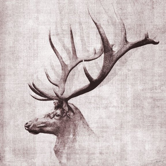Open Range II Poster Print by John Butler (24 x 24)