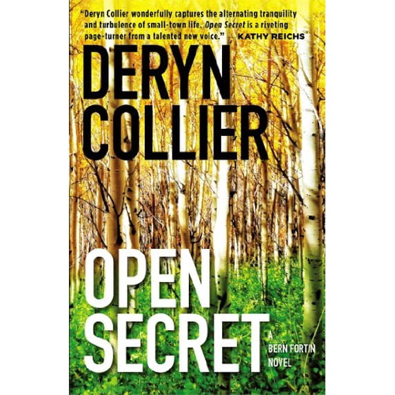 Pre-Owned Open Secret (Paperback) 1476716803 9781476716800
