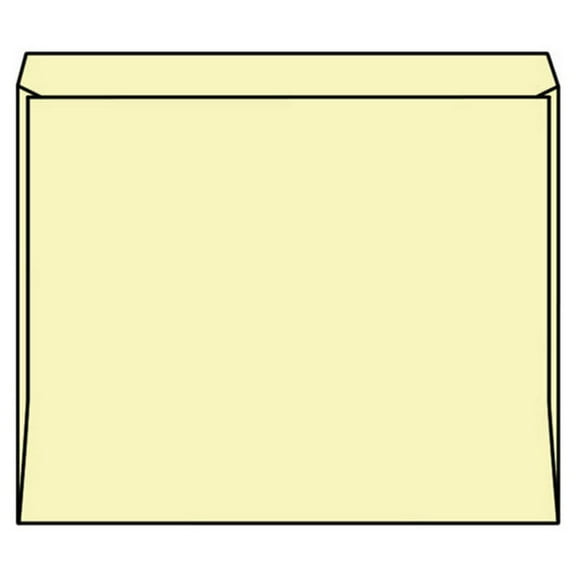 Open Side Employment Record Envelopes, 8-3/4" x 12", 100#, Manila Tag, Smooth Finish, 1/2" Extension (Box of 500)