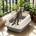 thumbnail image 1 of Open Top High Side Cat Litter Box, Semi-Enclosed Removable Pet Litter Tray, High-Sided Design Prevents Urine Leakage, Non-Stick, Easy to Clean, Indoor Cats Litter Pan, 1 of 6
