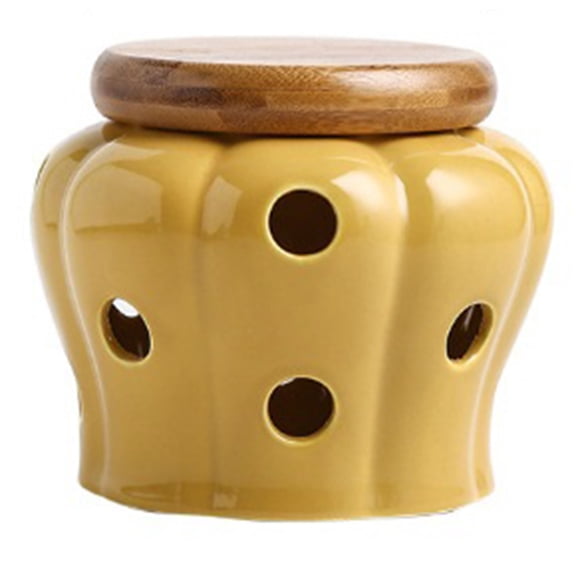 Openwork Ceramic Garlic Keeper with Lid for Kitchen Ginger, Candy Food Containers