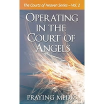 Pre-Owned Operating in the Court of Angels (Paperback) 0998091243 9780998091242