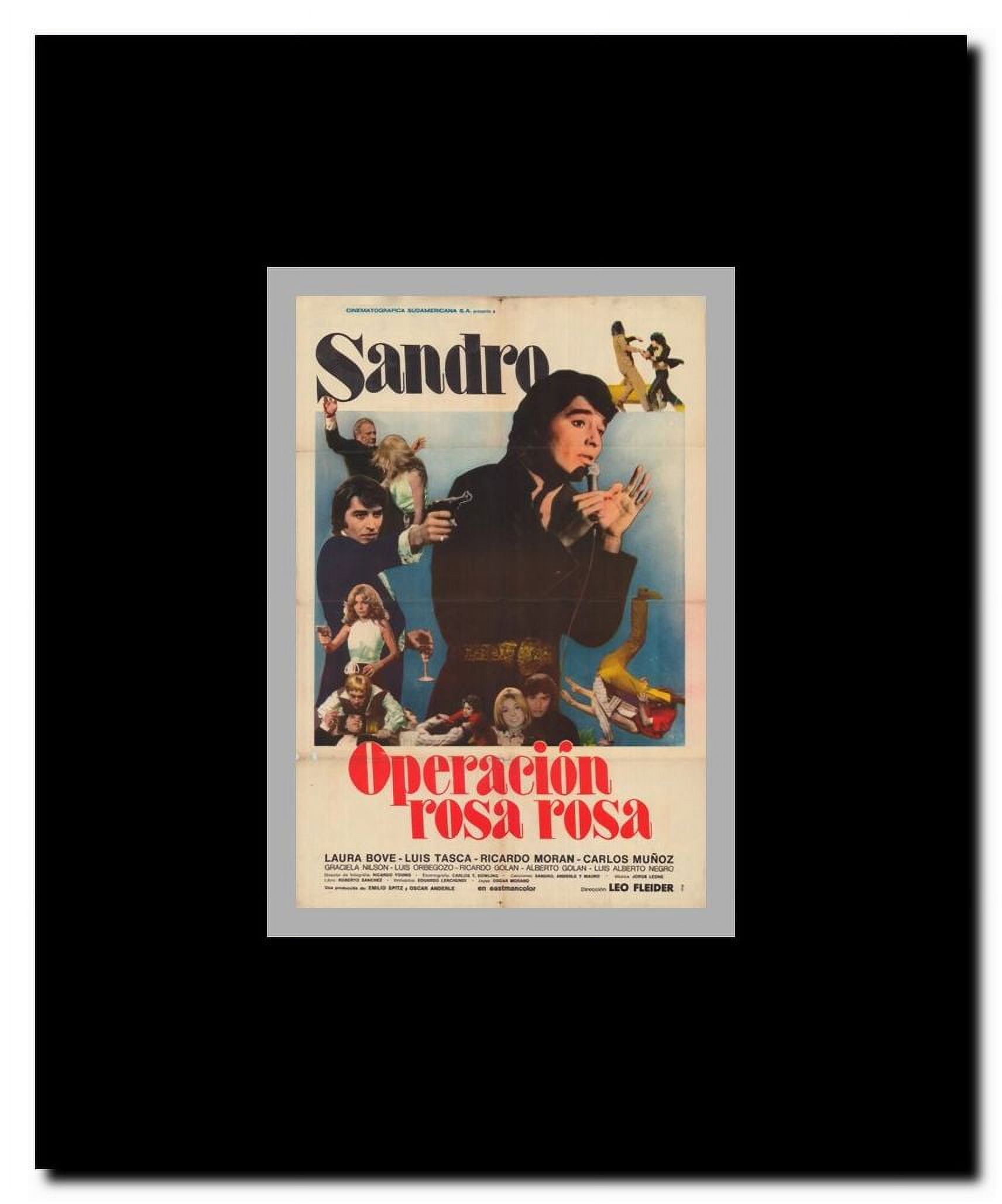Operation Rosa Rosa Framed Movie Poster