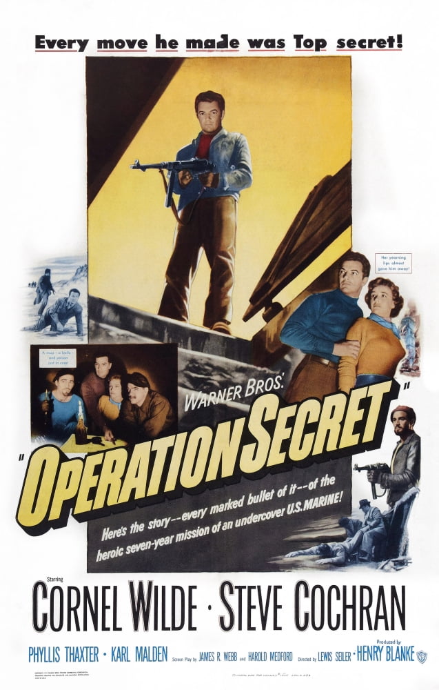 Operation Secret Canvas Art - (24 x 36)