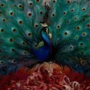 Opeth - Sorceress - Music & Performance - CD
