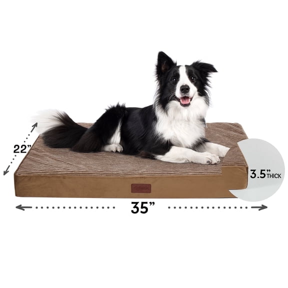 Ophanie Coffee Orthopedic Dog Bed for Large and Medium Dogs with Non-Slip Bottom, Waterproof and Machine Washable Removable Pet Bed Cover,Size(35"x22"x3.5")