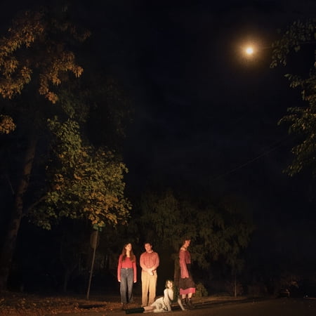 Ophelias - Spring Grove - Music & Performance - Vinyl