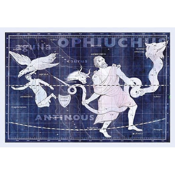 Ophiuchus and Serpens #2- Fine Art Canvas Print (20" x 30")