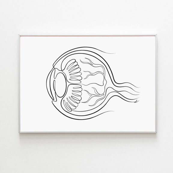 Ophthalmology Eye Anatomy Eyeball Optometry Optician Art Print Poster for Home Decor