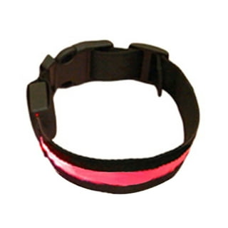Glow in the dark dog collar petsmart sales