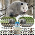 thumbnail image 1 of Opossum Birthday Party Supplies Decorations Plates Cake Topper Backdrop Banner Decor, 1 of 7