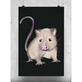thumbnail image 1 of Opossum Sketch Poster - Image by Shutterstock,, 1 of 2