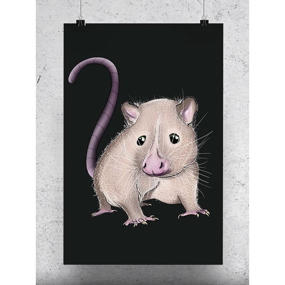 Opossum Sketch Poster - Image by Shutterstock,