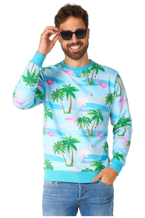 Men's Sweaters Flaminguy - XXL Multicolor
