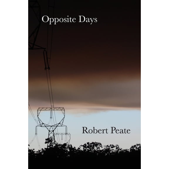 Opposite Days, (Paperback)