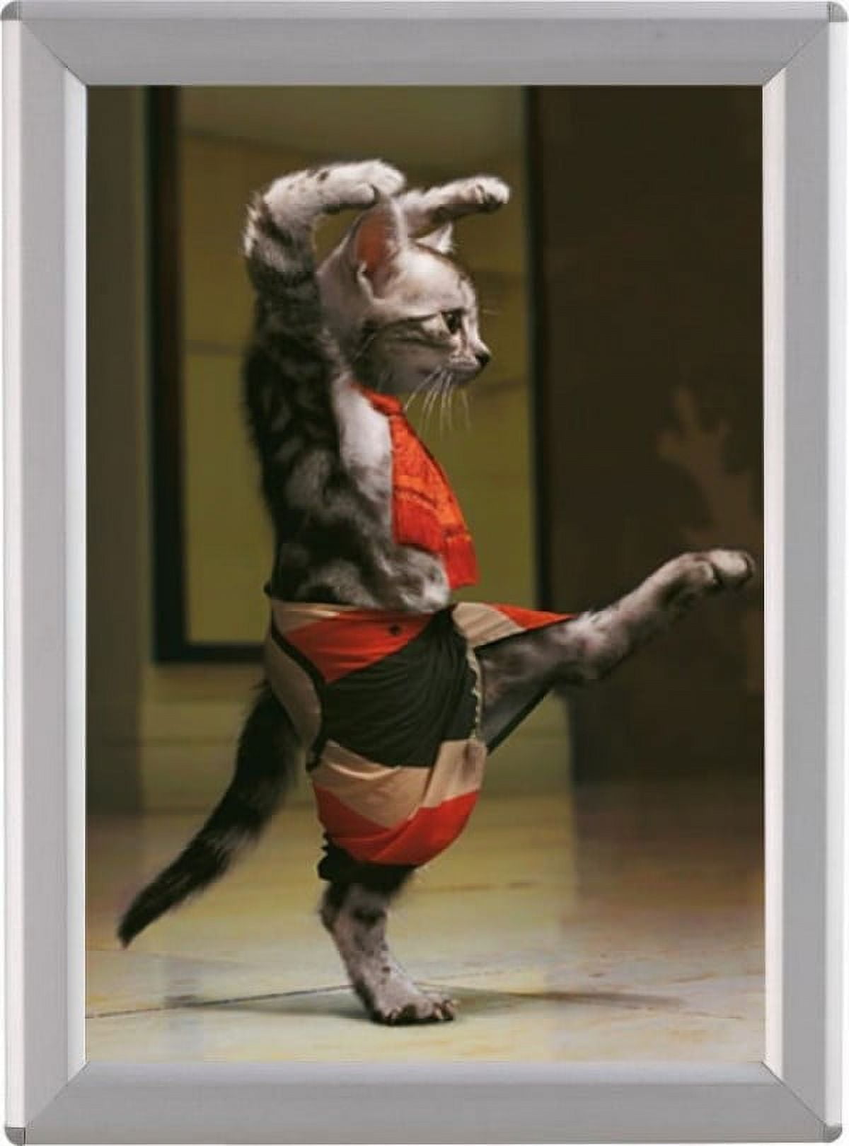 OptiFrame, Snap Picture Frame, 5"x7", Aluminum, 0.55 Inch Profile