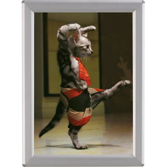 Opti-Frame, Snap Picture Frame, 5"x7", Aluminum, 0.55 Inch Profile, Mitered Corners, Without Back Support, Silver