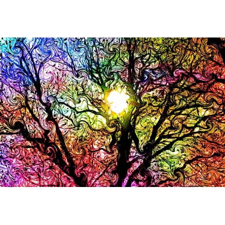 Optical Illusion 24"x36" Photographic Print Poster Psychedelic Dreams