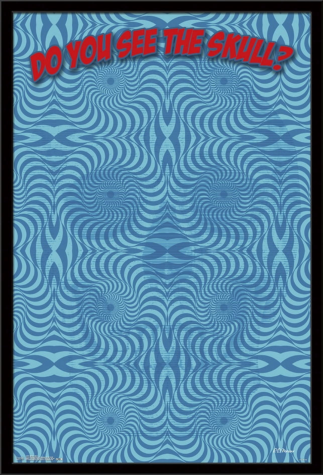 Optical - Skull Wall Poster, 22.375" x 34", Framed