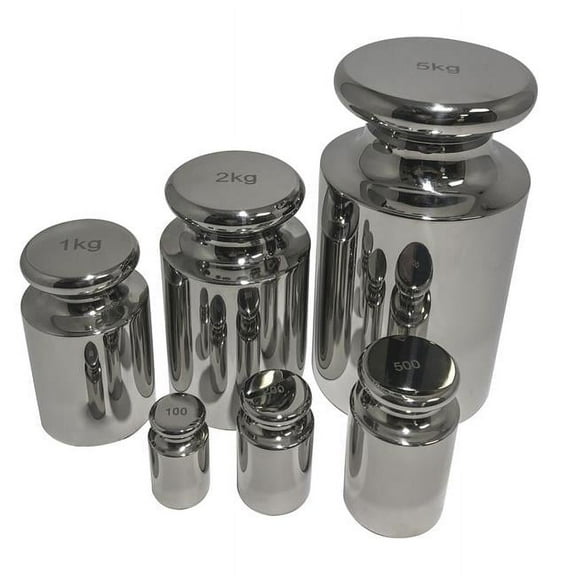 100g OIML Class M2 Calibration Weight