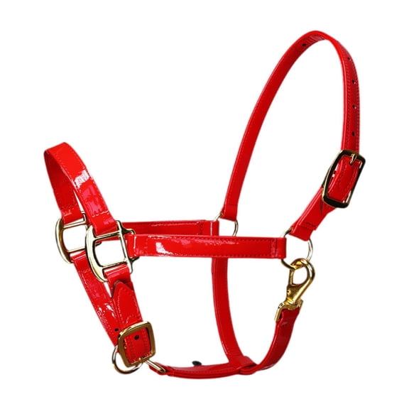 Optima Horse Halter Portable Padded Lightweight Microfiber Leather for Pasture Farm Red L