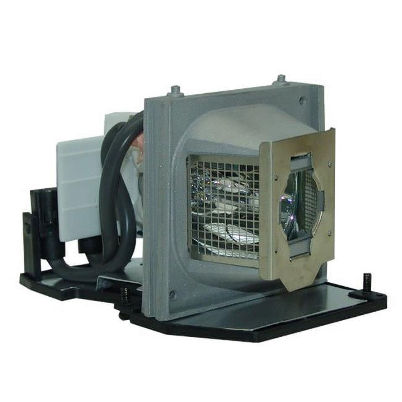 Optoma BL-FU220B Compatible Projector Lamp Module - Walmart.com