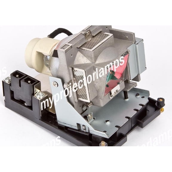 Optoma DE.5811116885-SOT Projector Lamp with Module