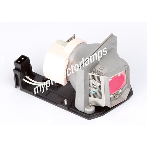Optoma DW531ST Projector Lamp with Module