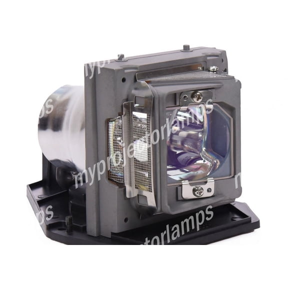 Optoma EzPro 782 Projector Lamp with Module