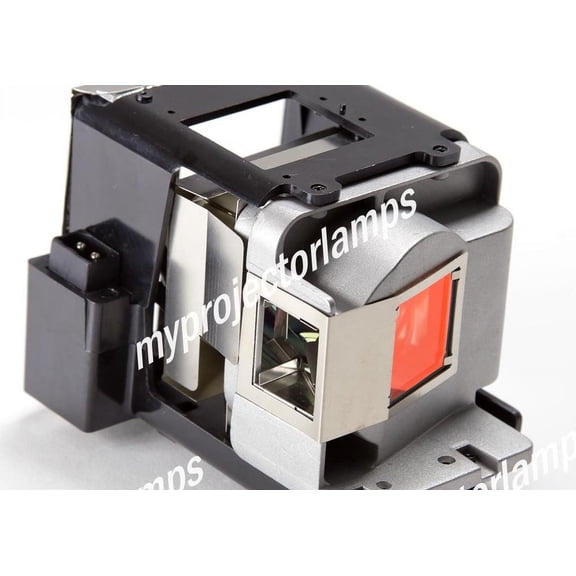 Optoma FX.PM484-2401 Projector Lamp with Module