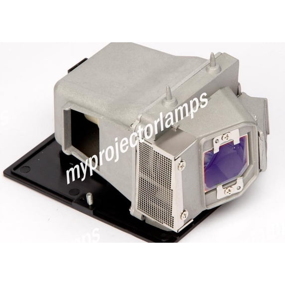 Optoma HD300X Projector Lamp with Module